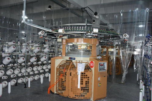 拥有600台双面机,希尔丁纺织凭优质纤维提升产品竞争优势